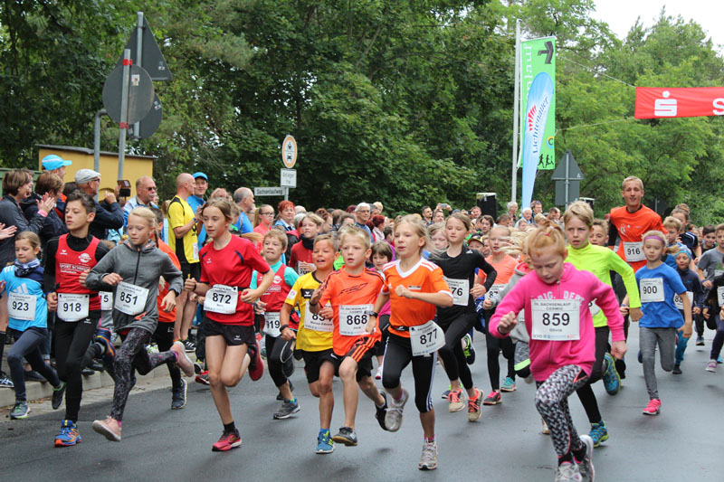 42.Sachsenlauf – Und wieder so warm!