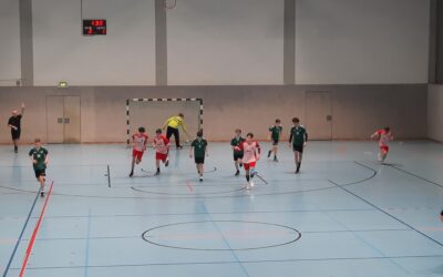 USV TU Dresden – Coswiger HSG 42:35 (20:19) 